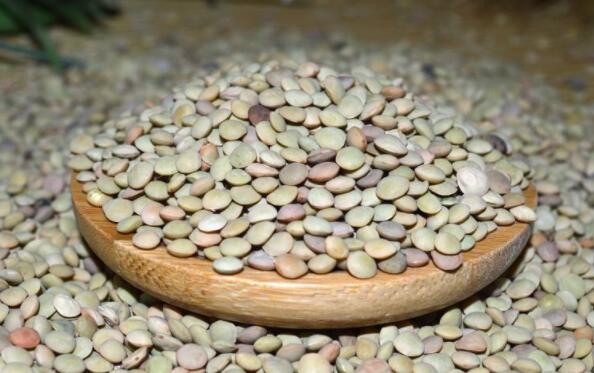 小扁豆是什么季节种的,小扁豆和扁豆一样吗