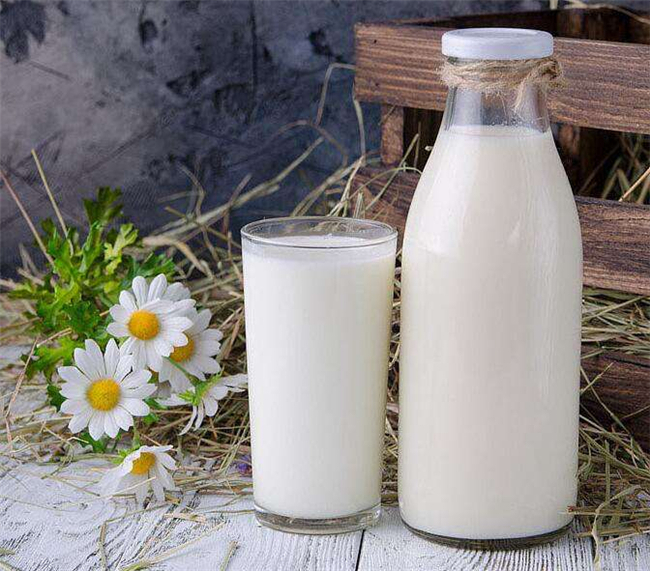 国产纯羊奶品牌有哪些,纯羊奶品牌排行榜