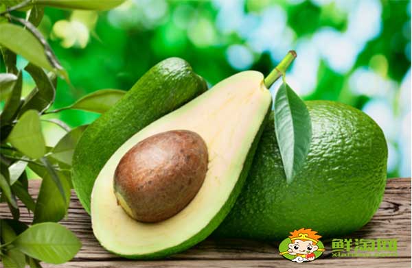 牛油果怎么挑核小,牛油果怎么挑子才小