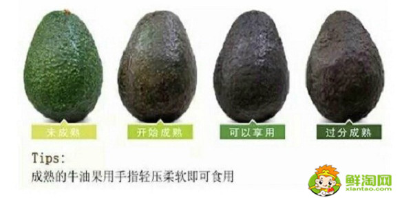 牛油果怎么挑选才甜,牛油果挑什么颜色的