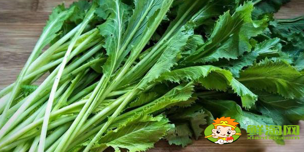 雪里蕻菜长什么样,雪里红和雪里蕻的区别