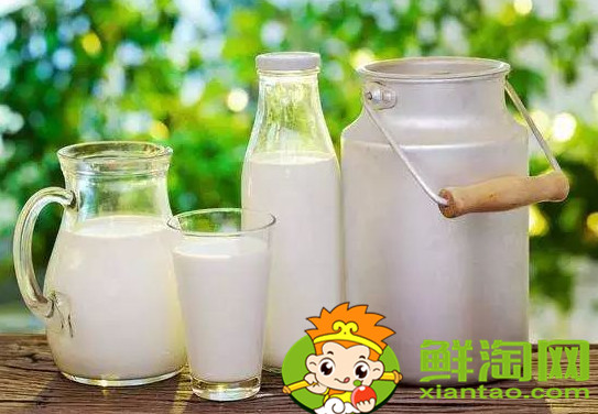 喝羊奶好还是牛奶好,宝宝喝羊奶好还是牛奶好