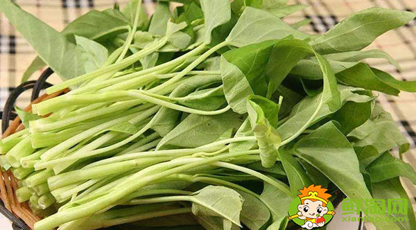 空心菜怎么剥好看又好吃,空心菜怎么煮才能去掉草酸