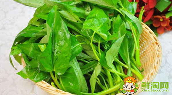 空心菜怎么剥好看又好吃,空心菜怎么煮才能去掉草酸