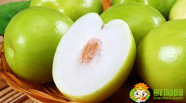 摘下来的青枣怎么储存,大量青枣储存方法