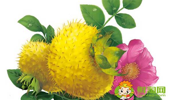 野生刺梨泡酒怎么泡好吃,刺梨泡酒怎么泡要加糖吗