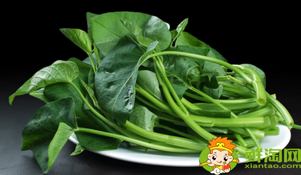 雍菜是不是空心菜,博白雍菜和空心菜区别