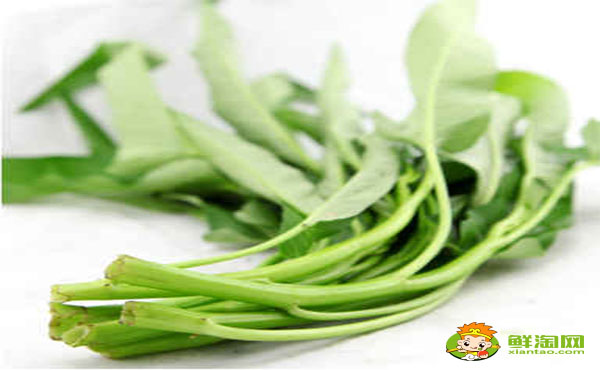 白杆空心菜青杆空心菜哪个好,白空心菜和绿空心菜的区别