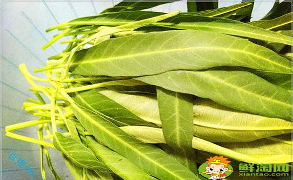 空心菜叶子要不要去掉,空心菜叶子发黄能吃吗