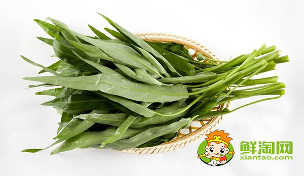 什么品种空心菜高产,新品种空心菜种子