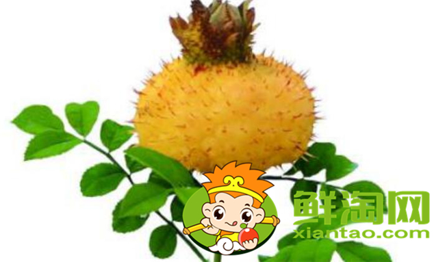 新鲜野刺梨怎么吃,金樱子和刺梨子的区别