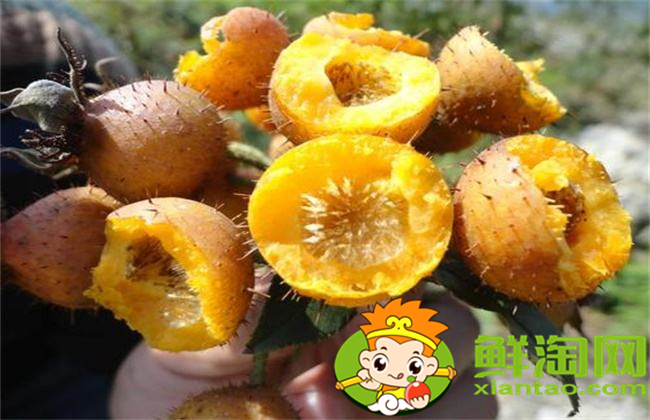 刺梨果怎么吃,刺梨果脯的制作方法