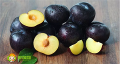 黑布林是什么味道的,陕西黑布林和四川黑布林的区别