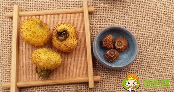 干刺梨能保存多久,野生干刺梨过期了还能怎样