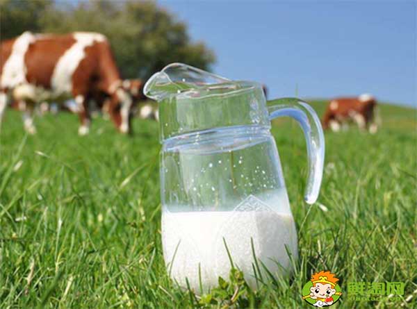 中老年人喝什么羊奶好,什么羊奶好消化不上火