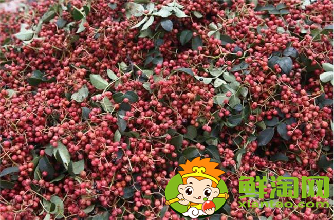 臭椒和大红袍怎么鉴别,大红袍花椒怎么鉴别好坏