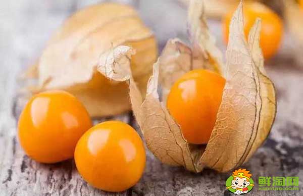 姑娘果是什么季节的水果,怎样挑熟透的姑娘果
