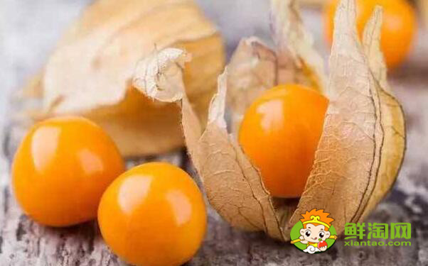 姑娘果几月熟,姑娘果怎样熟得快