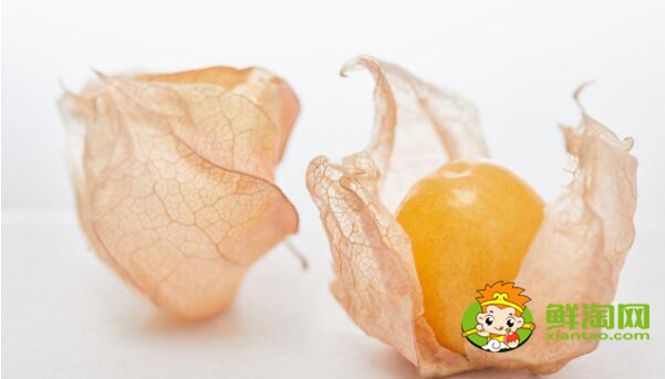 姑娘果几月熟,姑娘果怎样熟得快