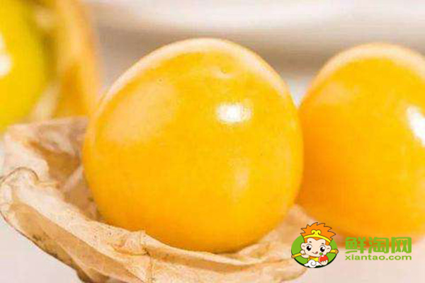 姑娘果学名叫什么,姑娘果有什么药用价值