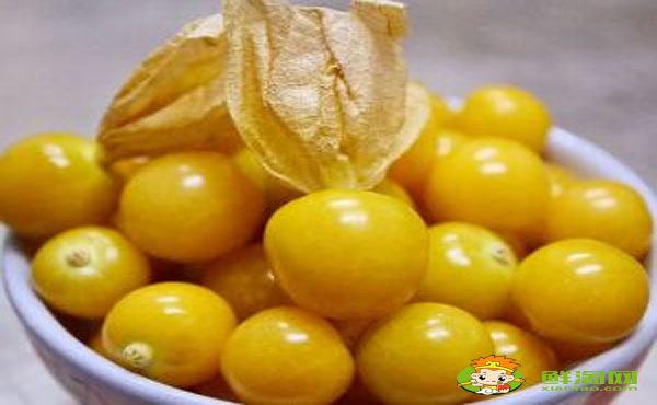 姑娘果是什么水果,姑娘果表皮有霉点能吃吗