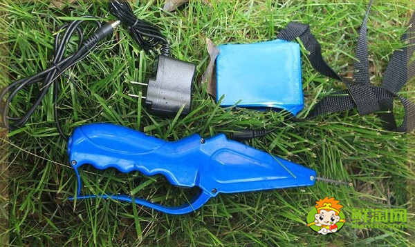 手工一天能摘多少花椒,摘花椒用什么工具好