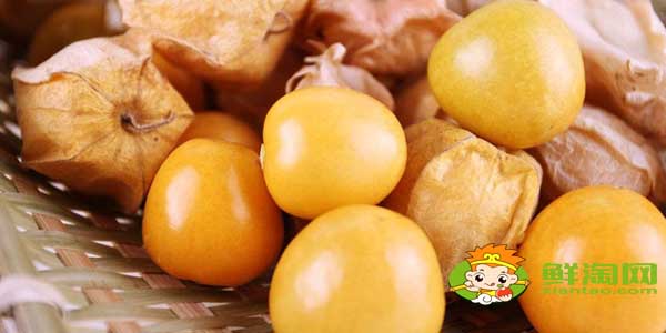 灯笼果和姑娘果一样吗,灯笼果与姑娘果的区别