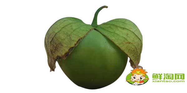 紫色的姑娘果叫什么名字,紫色姑娘果图片大全