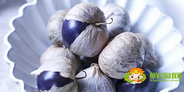 紫色的姑娘果叫什么名字,紫色姑娘果图片大全