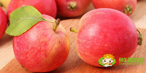 沙果为什么叫沙果,沙果是什么水果怎么吃