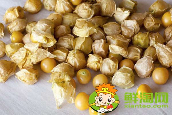 灯笼果是什么样的,灯笼果和醋栗的区别