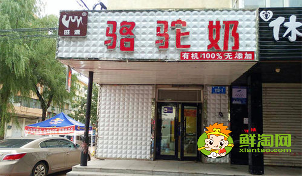 骆驼奶什么味道,骆驼奶和牛奶的营养价值哪个高