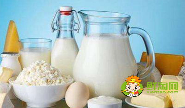 骆驼奶怎么喝,骆驼奶的正确食用方法