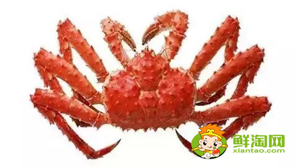 帝王蟹的蟹黄在哪里,帝王蟹为什么不吃黄