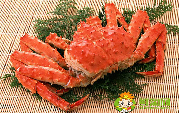 帝王蟹身体为什么不吃,帝王蟹为什么只吃腿