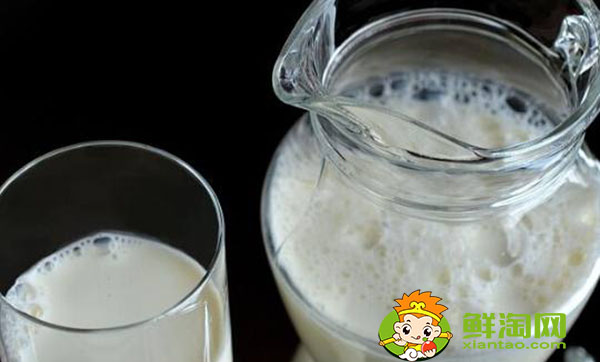 骆驼奶和牛奶可以一起做酸奶吗,骆驼鲜奶和骆驼酸奶哪个营养好