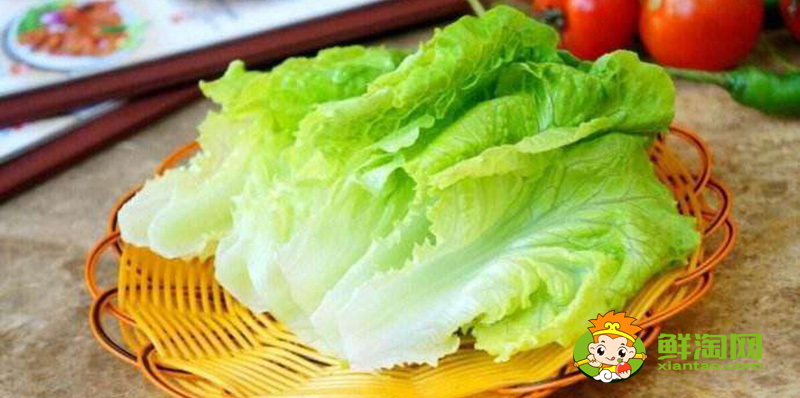 生菜的样子,结球生菜和生菜的区别