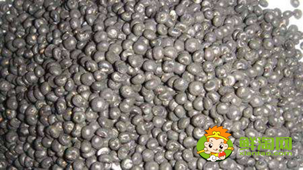 芦笋种子那里有卖，芦笋种子多少钱一斤