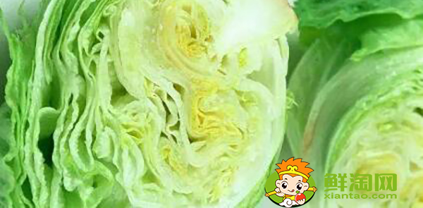 生菜可以烤吗,团生菜的功效与作用