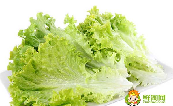 减肥吃生菜好吗,减肥吃生菜和什么搭配