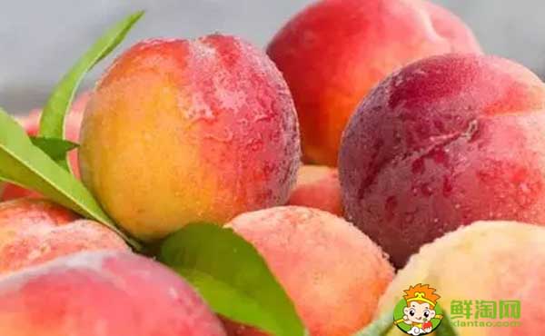 西瓜和桃子能一起吃吗，桃子一天吃几个最好