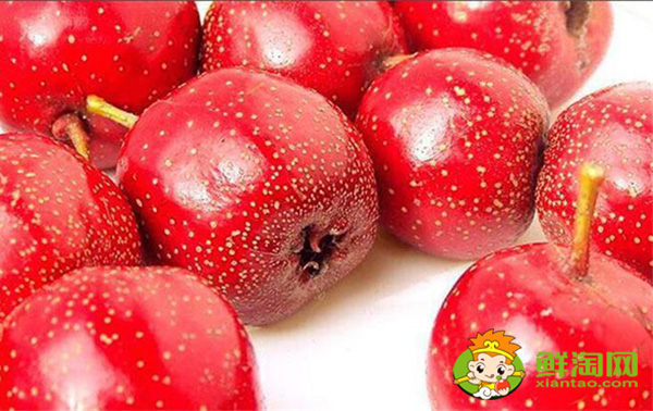 山楂什么时候熟,山楂最佳产地在哪里