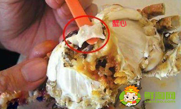 螃蟹哪里不能吃高清图,螃蟹的吃法剥法图解