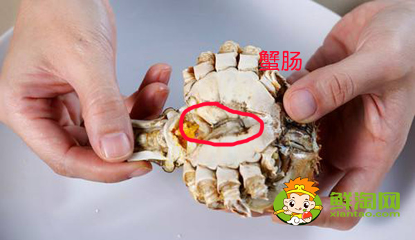 螃蟹哪里不能吃高清图,螃蟹的吃法剥法图解