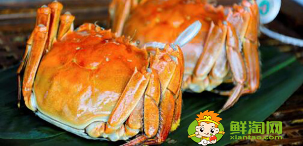 大闸蟹礼券哪个牌子好,盘锦河蟹阳澄湖大闸蟹哪个好吃