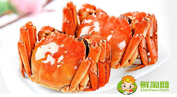 黄河口大闸蟹多少钱一斤,黄河口大闸蟹怎么做好吃