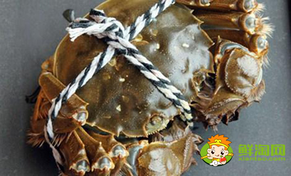 梁子湖大闸蟹怎么样,梁子湖大闸蟹养殖基地