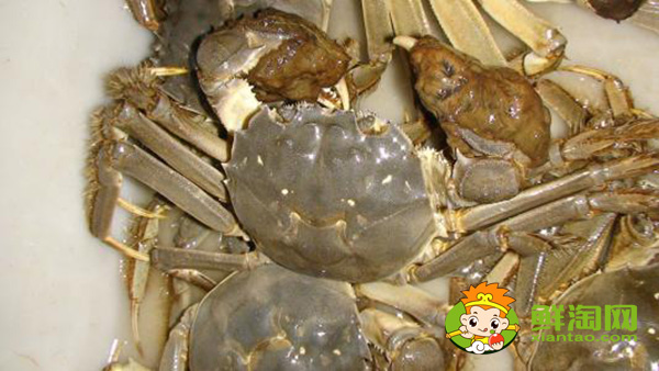 武汉梁子湖大闸蟹什么时候上市,阳澄湖大闸蟹和梁子湖大闸蟹有什么区别