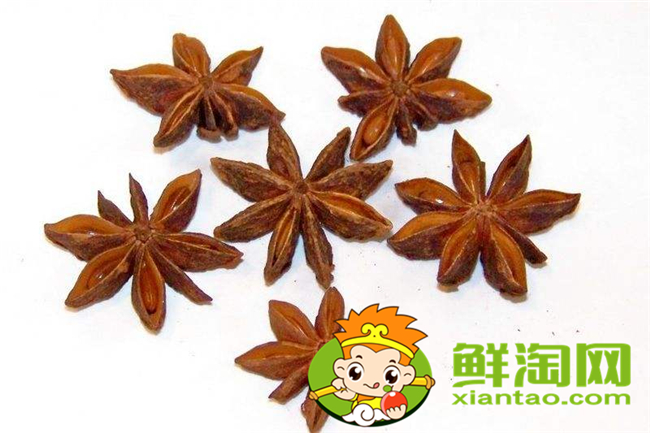 野八角中毒什么症状,中药材八角的真假分别