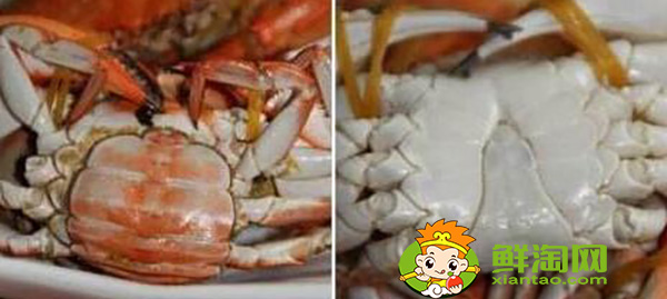 大闸蟹9月还是10月,民间农历九月吃什么蟹